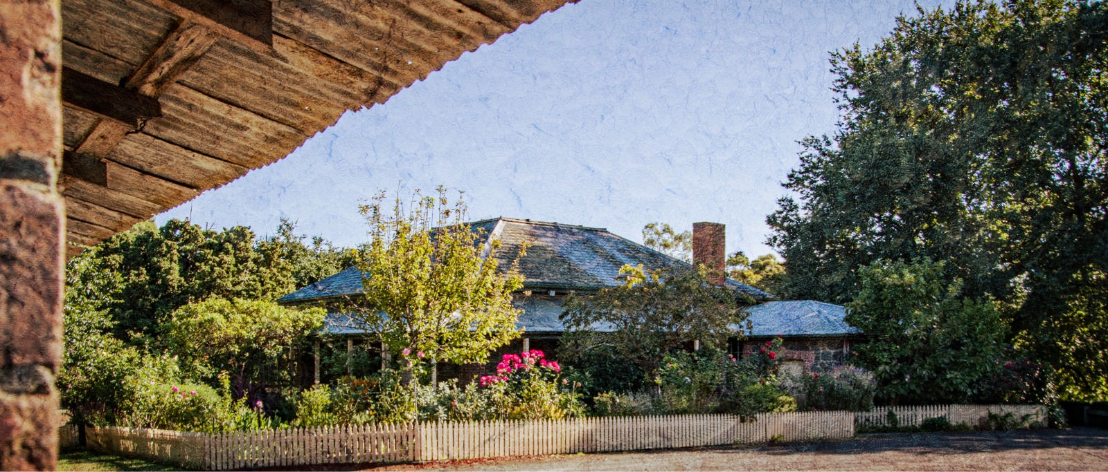 A house with tiled roof and chimney set behind a white picket fence and dense flowering garden.